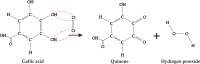 Figure 5