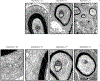 Extended Data Fig. 2