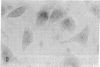 1875
