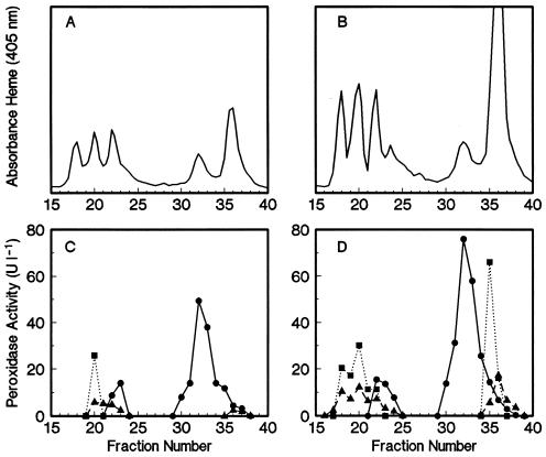 FIG. 6