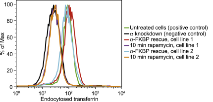 Figure 3