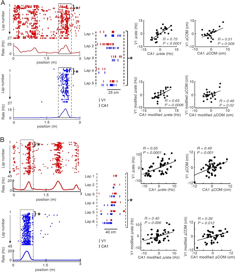 Figure 6—figure supplement 1.