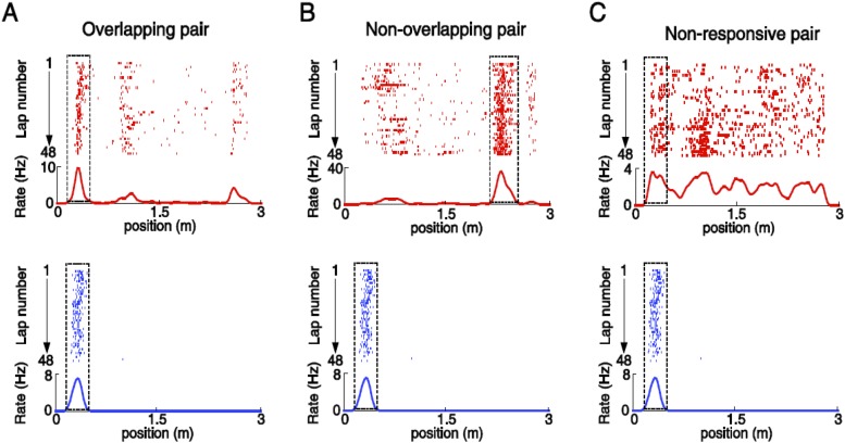 Figure 6—figure supplement 2.