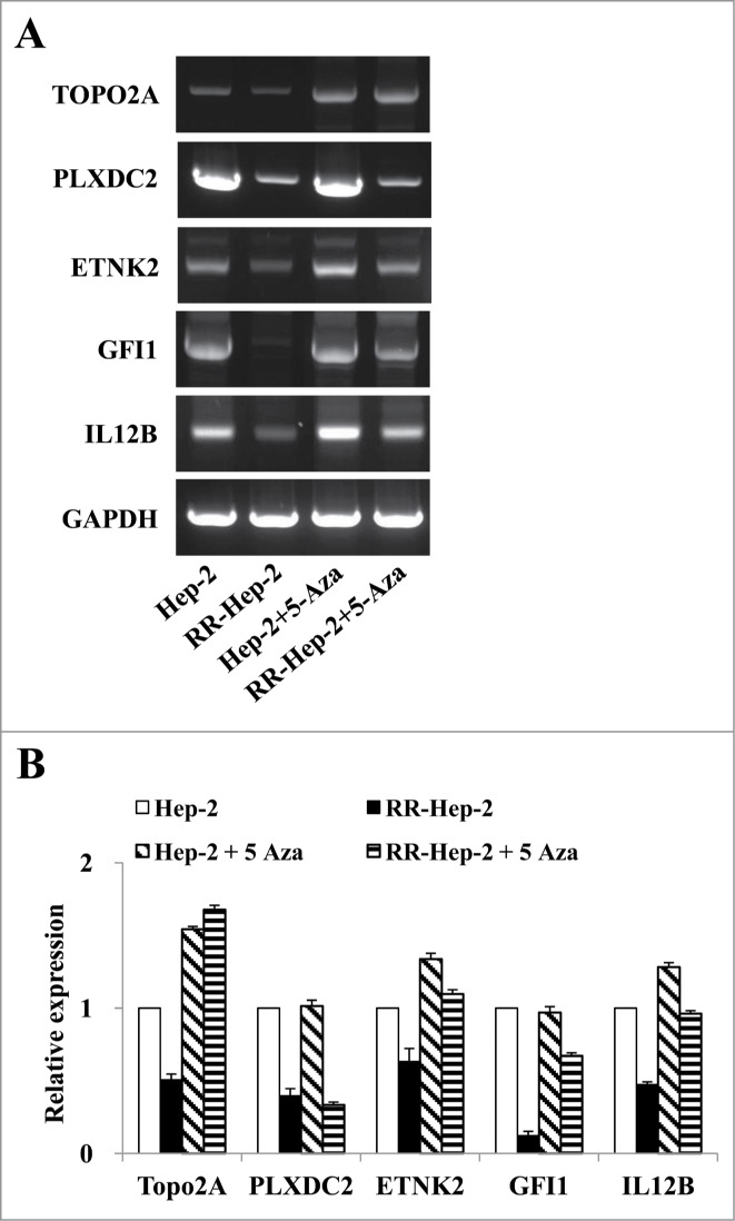 Figure 5.