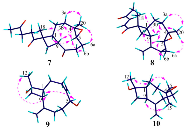 Figure 7