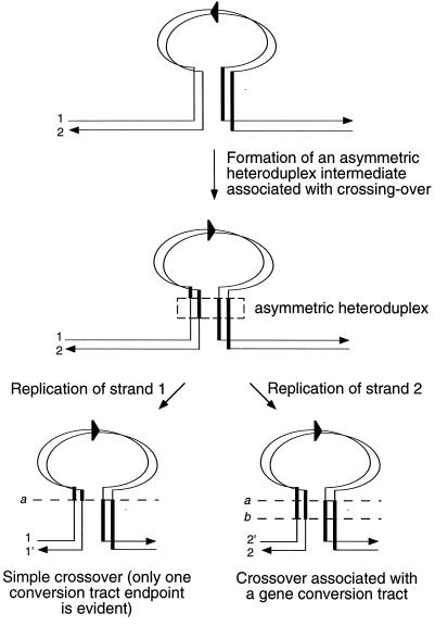 FIG. 7