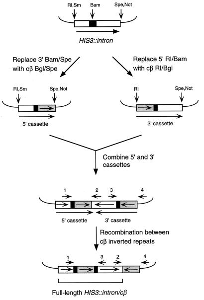 FIG. 1