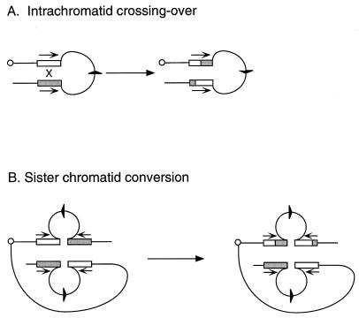 FIG. 5