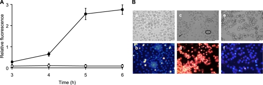 FIG. 3.