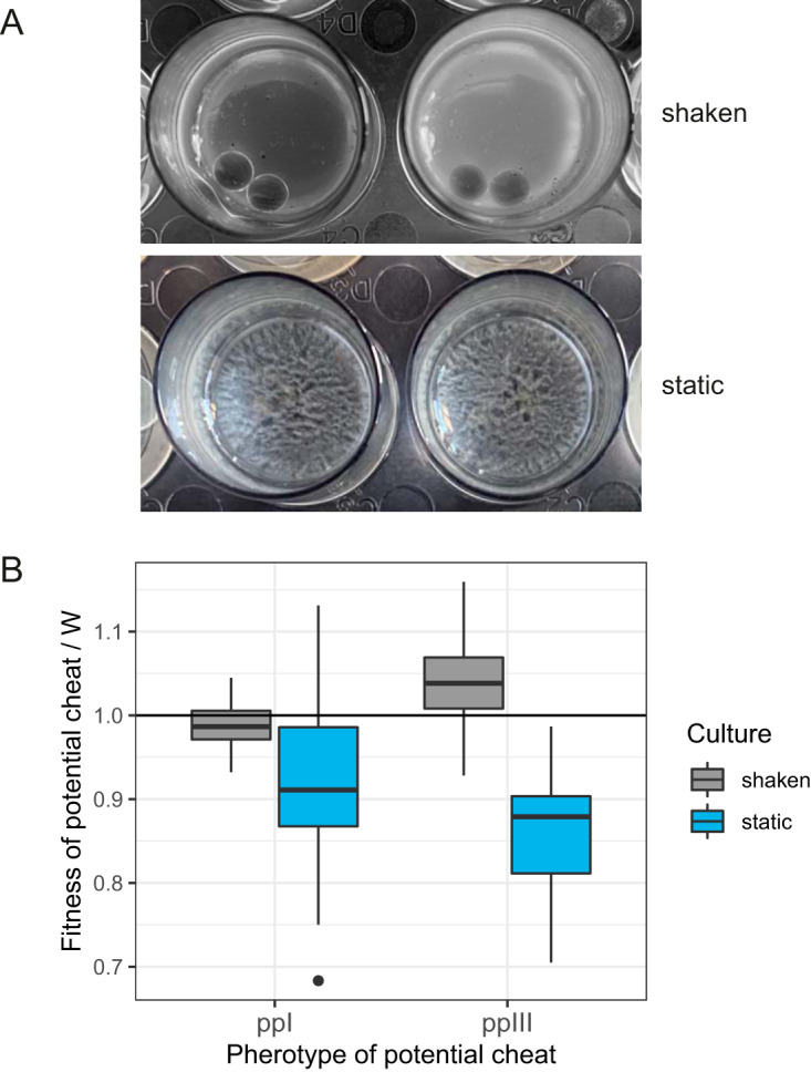 FIG 4