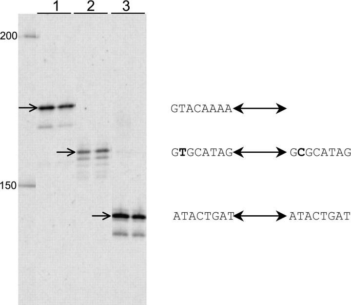 Figure 4.—