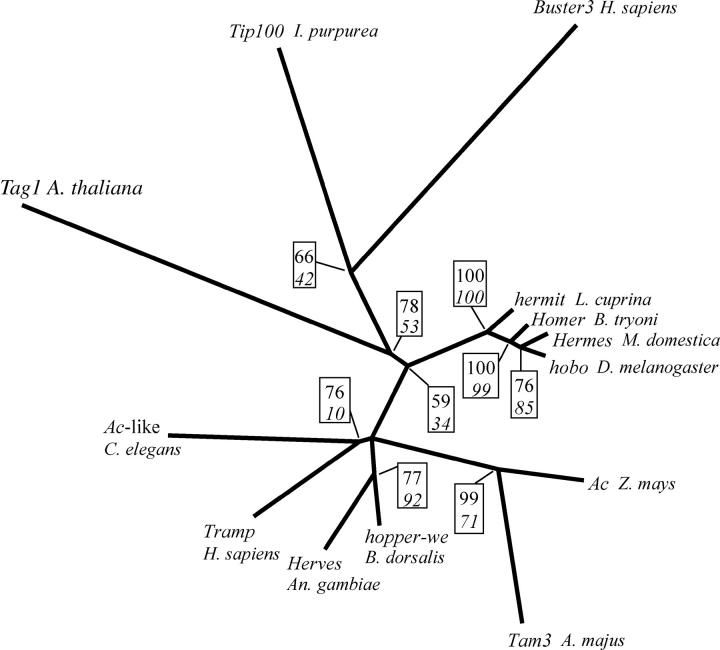 Figure 2.—