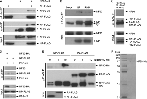 FIG. 2.