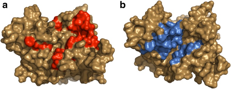 Fig. 5