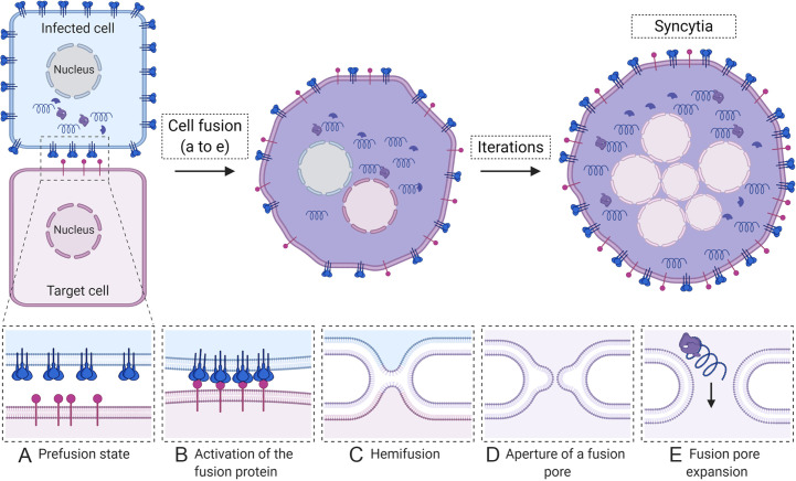 Fig. 2