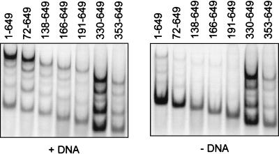 FIG. 7