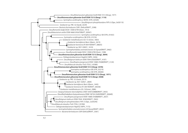 Figure 6B