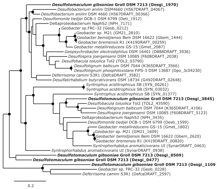 Figure 6A