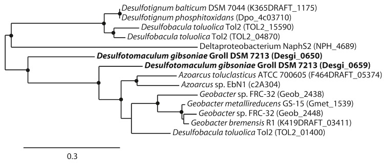 Figure 5A