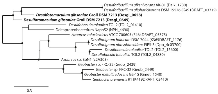 Figure 5B