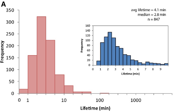 Figure 3A