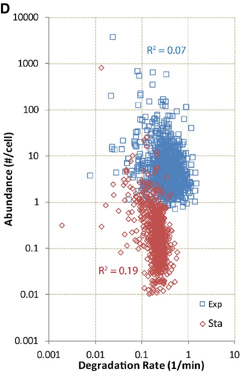 Figure 4D