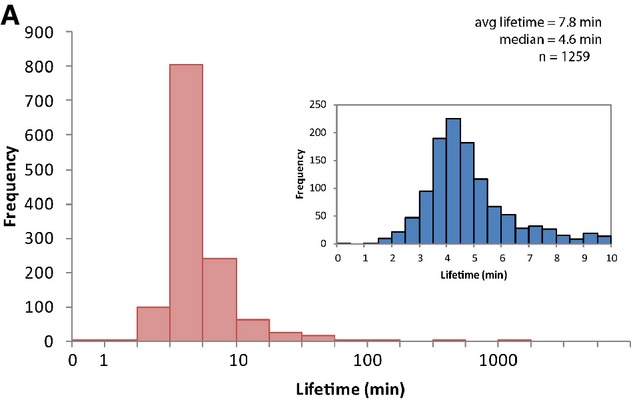 Figure 4A