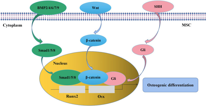 FIGURE 2