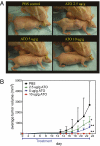 Fig. 4.