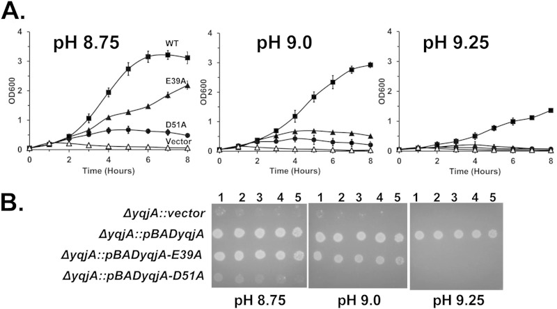 FIG 3