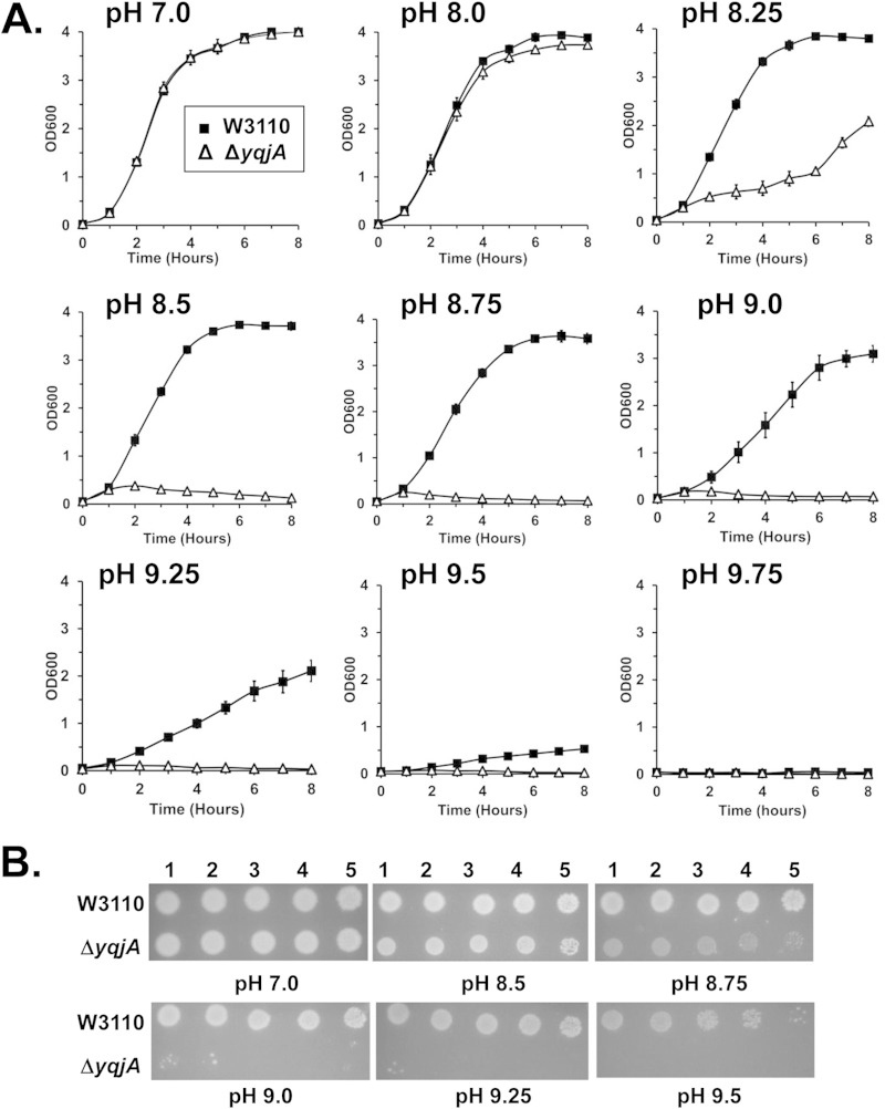 FIG 1