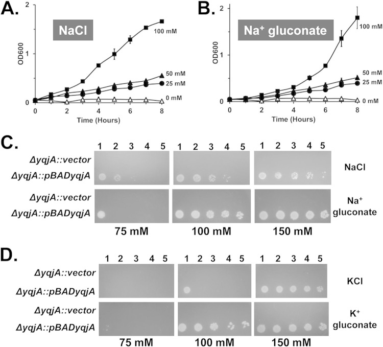 FIG 4