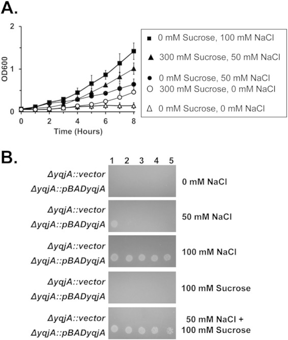 FIG 6