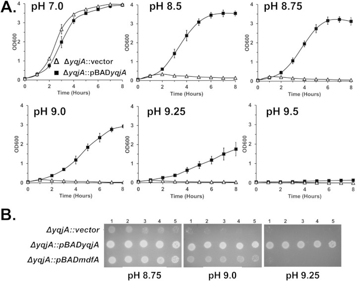 FIG 2