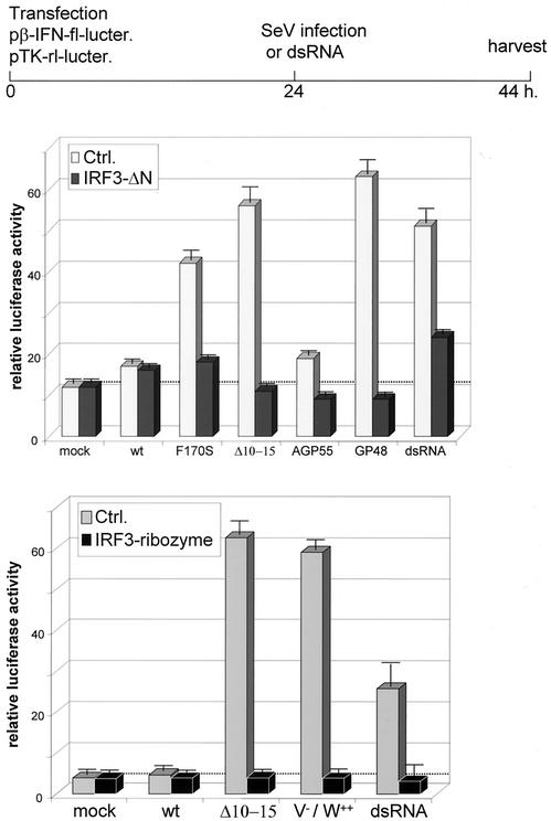 FIG. 6.