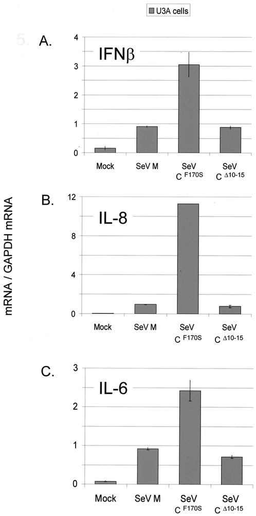 FIG. 5.