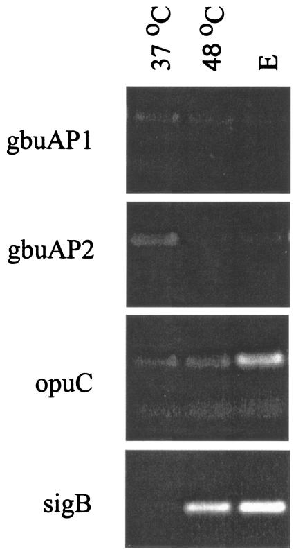 FIG. 5.