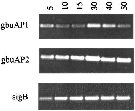 FIG. 7.