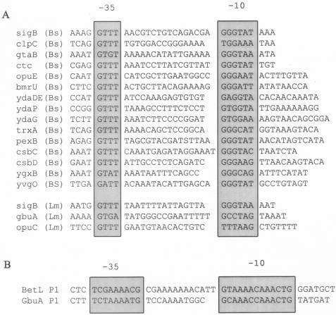 FIG. 8.