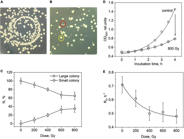 FIGURE 2