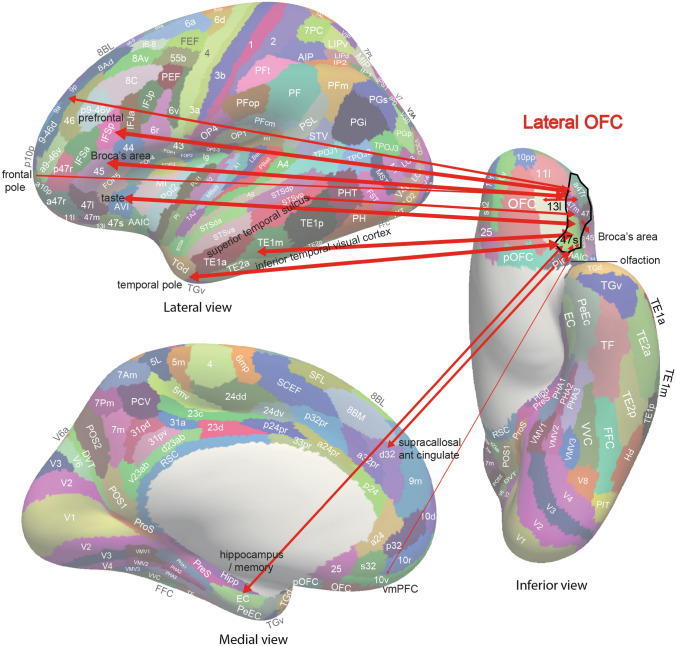 Fig. 6