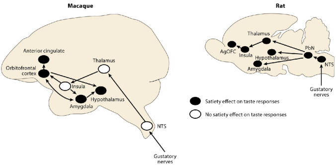 Fig. 16