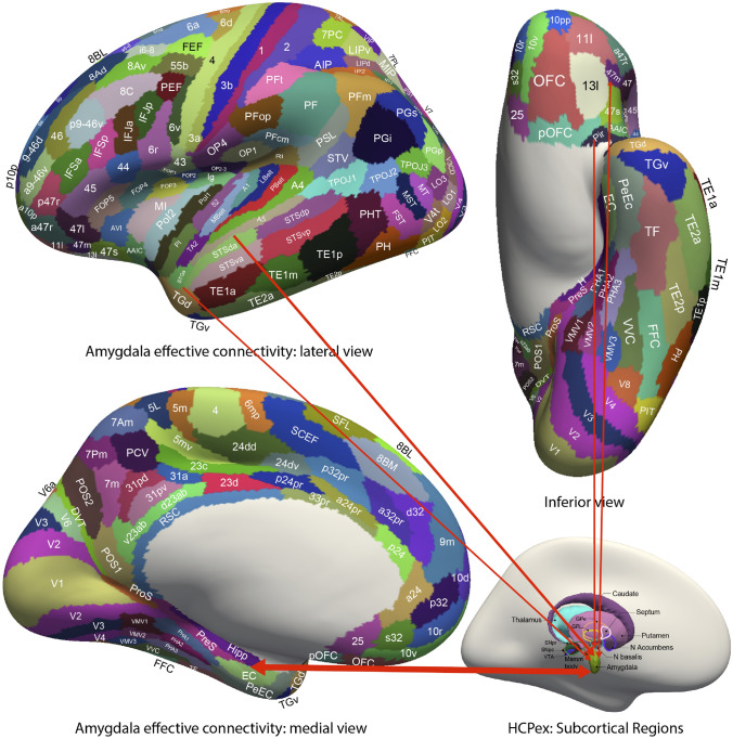 Fig. 12