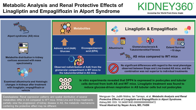 graphic file with name kidney360-5-1002-g001.jpg