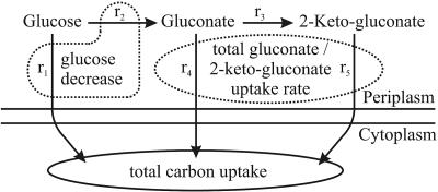 FIG. 5.