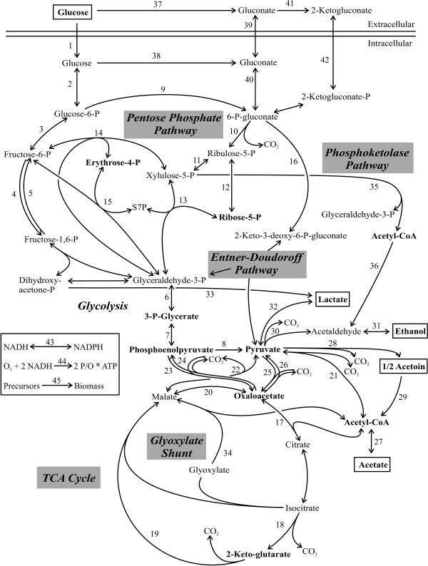 FIG. 1.