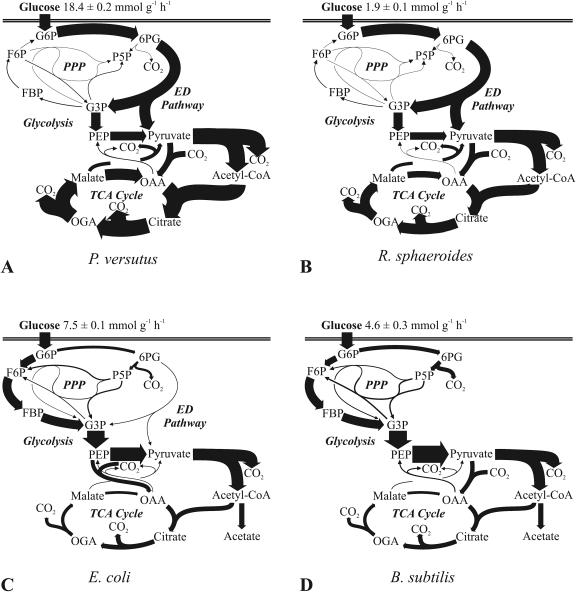 FIG. 6.