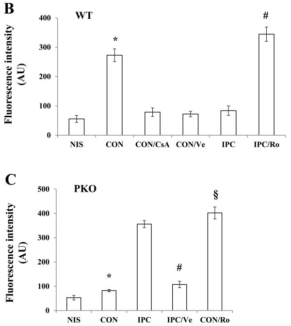 Fig. 6