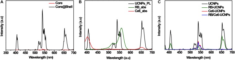 FIGURE 3