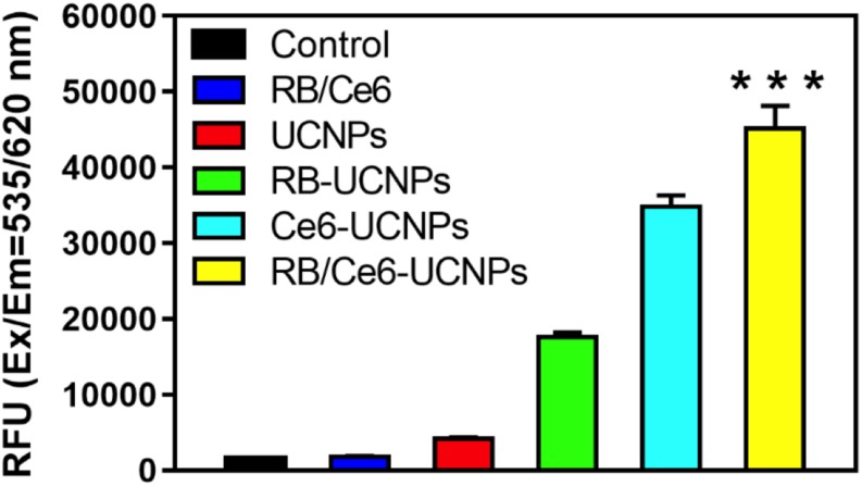 FIGURE 9